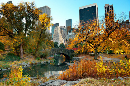 中央公园秋天和纽约市曼哈顿背景图片