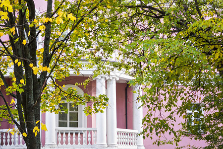 秋天花园的粉红色古典风格房子白阳图片