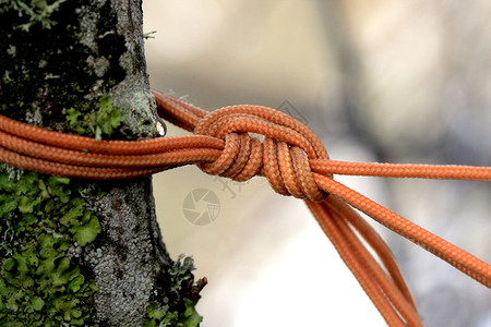 橙色绳索系在树枝上背景图片