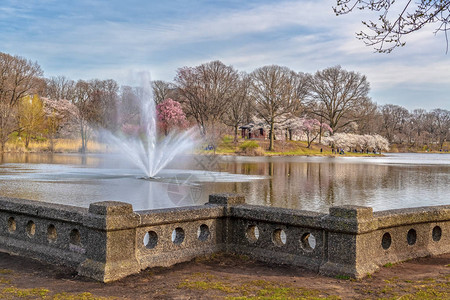 公园里的喷泉图片