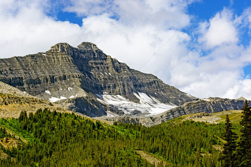 在加拿大落基山脉奈杰尔路口附近一只被堵住的峰图片