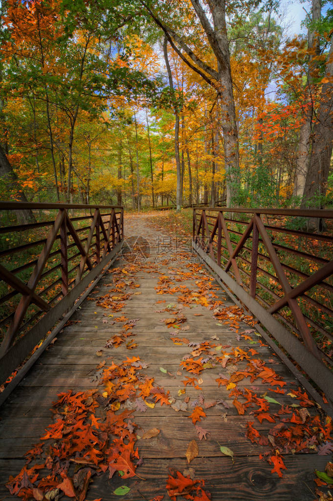 下去看托莱多俄亥州橡树开阔保留地公园的一座古老的脚桥上图片