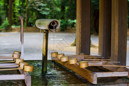 在东京Meiji神社入口处净图片