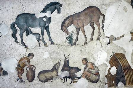 农民挤奶山羊土耳其伊斯坦布尔古代图片