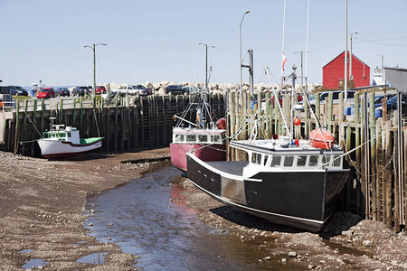 霍尔港是加拿大新斯科舍省的一个捕鱼社区图片