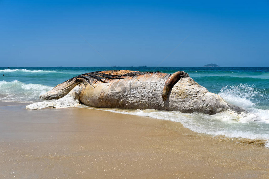 里约热内卢伊帕内马海滩上被洗过的岸图片