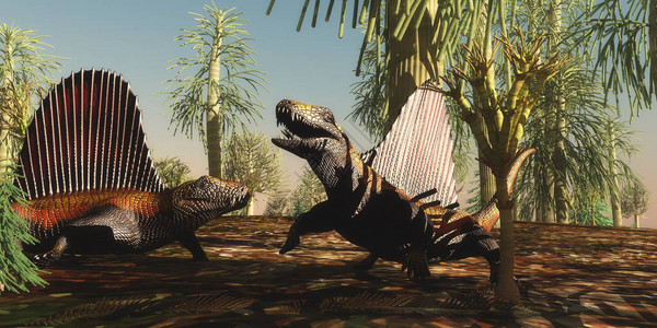 米勒Dimetrodon爬行动物有领土争端有关哪一种动物在二月时代更插画