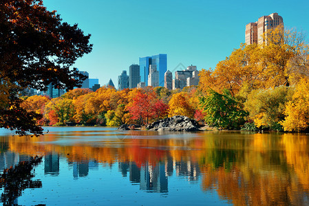 中央公园秋季和纽约市曼哈顿市中城图片