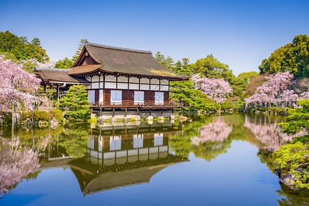 日本京都被樱花树包围的宗教建筑图片