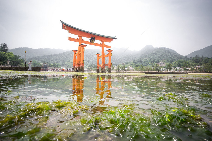 在宫岛与日本漂浮托里图片