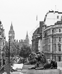Trafalgar广场英国伦图片