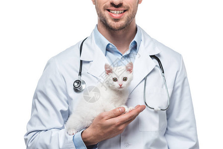 男兽医的作物形象小猫以白色图片