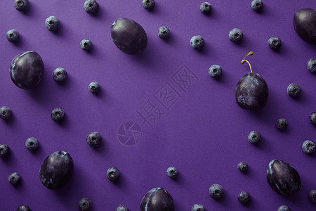 紫花表面蓝莓和梅图片