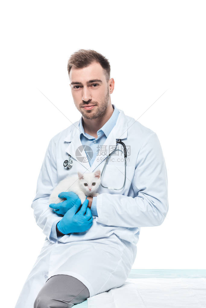 年轻男兽医坐在桌子上小猫被白种背图片
