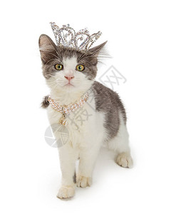 穿戴白底公主瑞雅石王冠和珍珠项背景图片