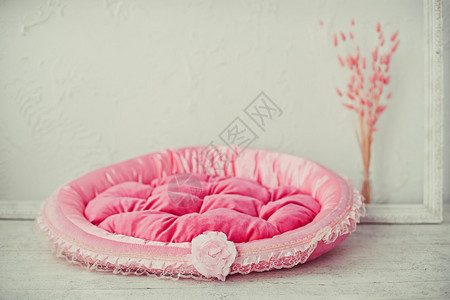 粉色宠物床垫室内有鲜花图片