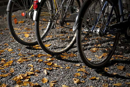 秋夜的自行车后轮图片