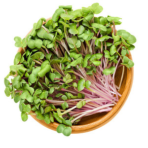 玫瑰萝卜芽在木碗里Raphanussativus的子叶冬萝卜叶有玫瑰色的皮肤蔬菜微绿宏观食物照片从上图片
