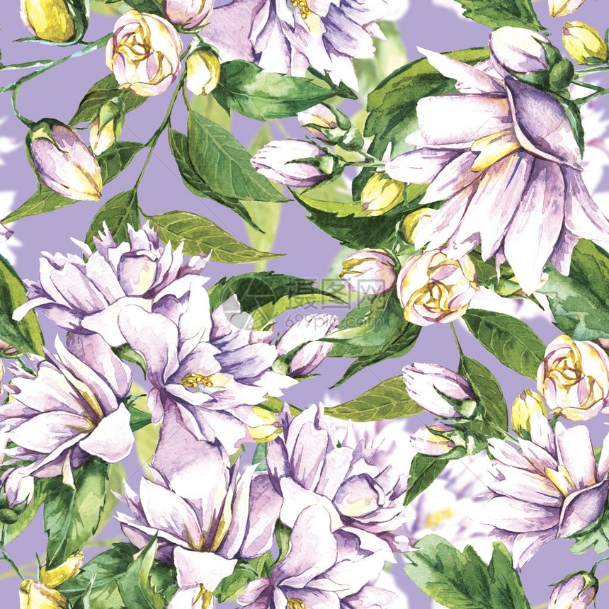 Floral无缝水彩色背景与布洛明茉莉花在古典风格图片