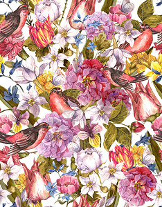 FloraVivetage无缝水彩背景与鸟类背景图片