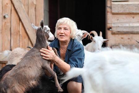 小羊山的幸福女人农夫图片