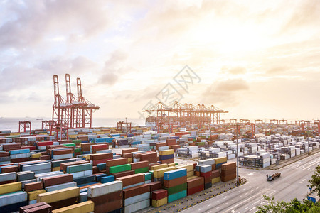 上海港黎明的工业港背景图片