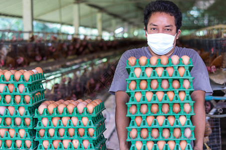 年轻农民在收集过程结束后在鸡蛋养鸡场上背景图片