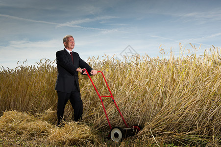 执行商人在用手动割草机收割成熟小麦的挑战中停下来背景图片