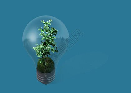 用3d软件制作的带有植物的灯泡图片