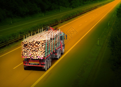 高速公路上的伐木车图片