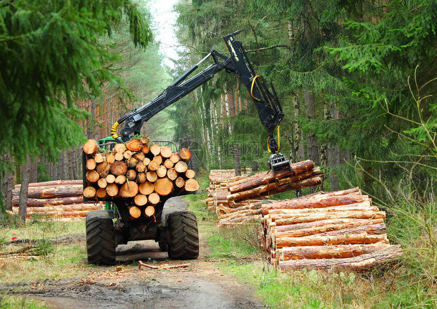 伐木工人与在森林里工作的现代收割机木材作图片
