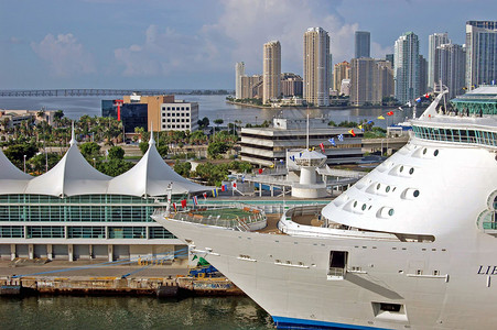 在迈阿密港的游轮上图片