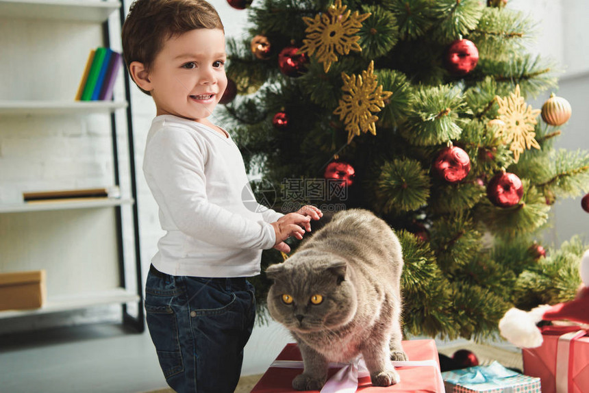 快乐的小男孩在圣诞树附近的礼图片