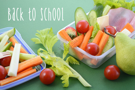 沙拉盒回到学校健康学校午餐盒以绿色背景和样插画