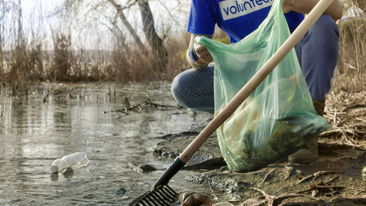一群在池塘水里捡垃圾的橡皮树上的志愿者们从图片