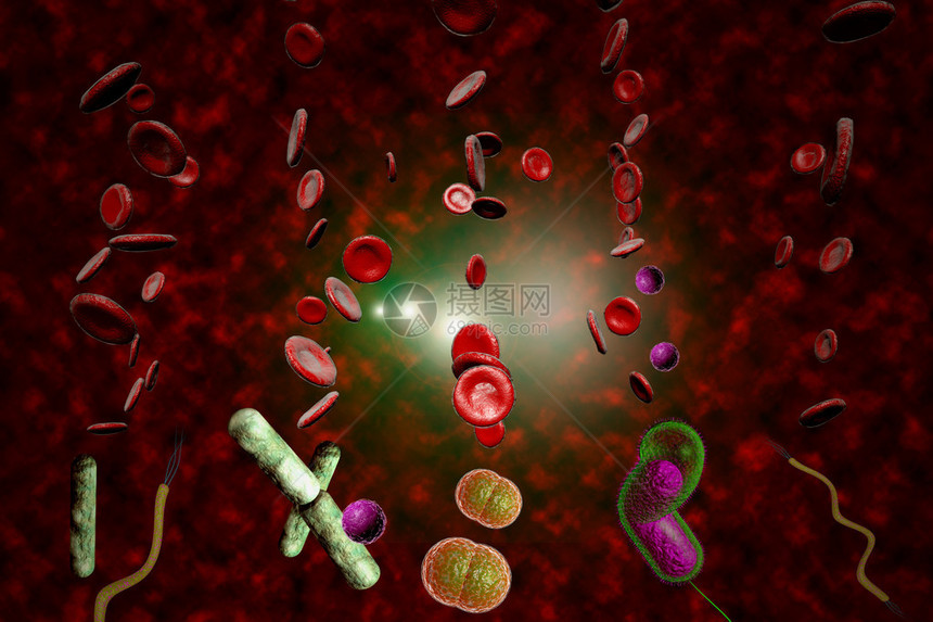 3D显微镜近距离接近许多细菌这些细菌图片