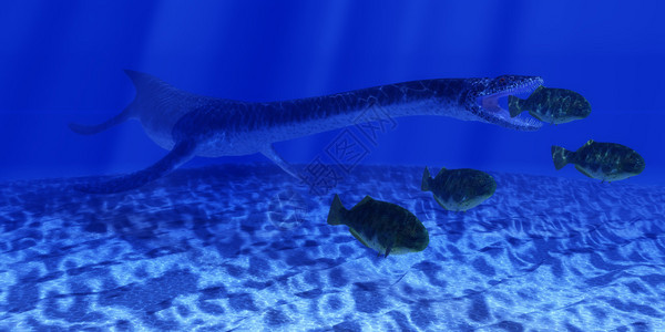 海洋爬行动物利西奥龙号在进攻时偷溜到Dapedius图片