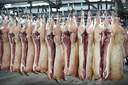 肉类工厂挂在钩子图片