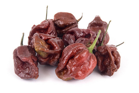 特立尼达莫鲁加蝎子巧克力极辣椒品种图片