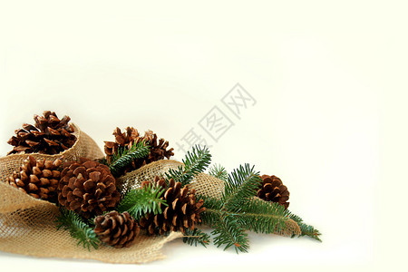 圣诞树长生树枝松锥和卷心织物的集合图片