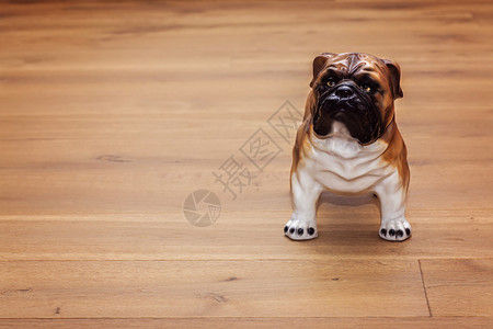 木纹地板上的狗瓷雕像图片
