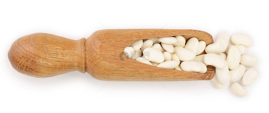 白色的肾脏豆子在木质勺中图片