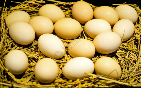 鸡蛋篮新鲜农家鸡蛋图片