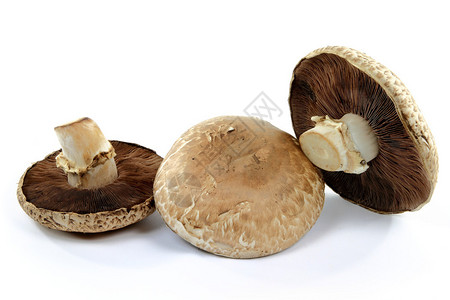 波托贝罗三组有机蘑菇上半面和下半面的颗粒盖子和长尾草图片