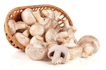 香格里昂蘑菇在一篮子鸡尾酒中孤图片