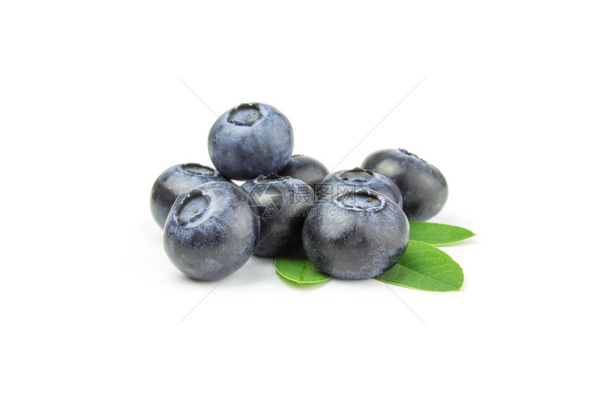 一群蓝莓被隔离在白图片