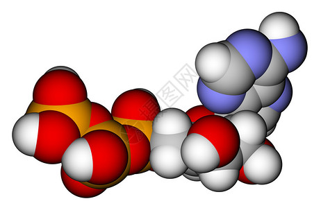 白底三磷酸腺素ATP优化分子高清图片