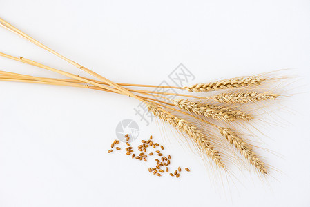 小麦秸秆上白色孤立图片
