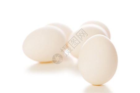 白色背景上孤立的白鸡蛋背景图片