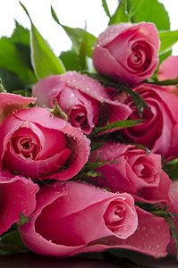 一个美丽的粉红玫瑰花束和图片